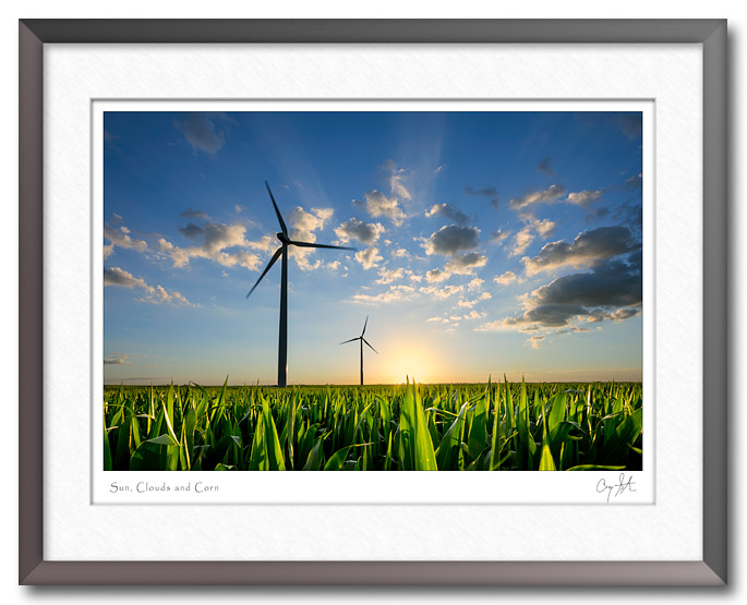 Windmills at sunset in a corn field
