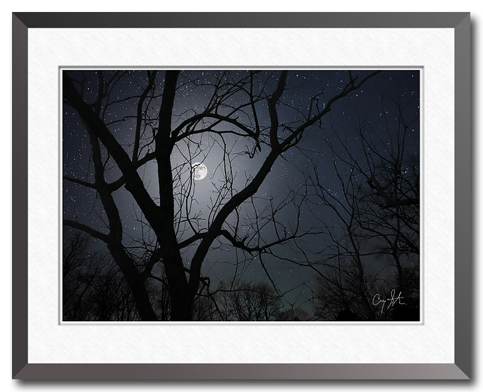 Fine art photo showing a full moon through bare trees set against a star filled night sky
