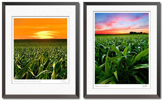 Two views of a corn field